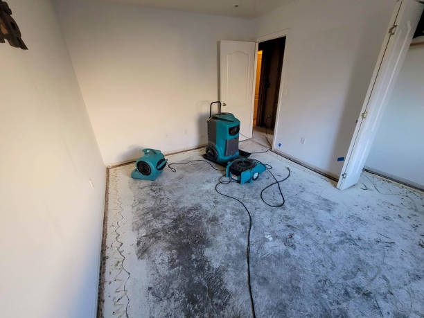 Best Residential water damage restoration  in St George, SC