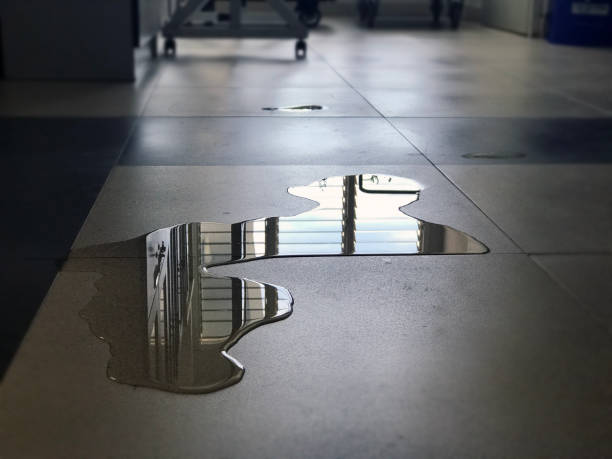 Water damage restoration insurance claims in SC