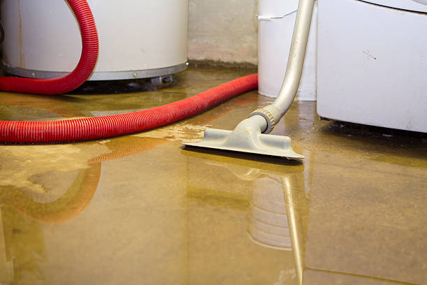 Best Basement water damage restoration  in St George, SC