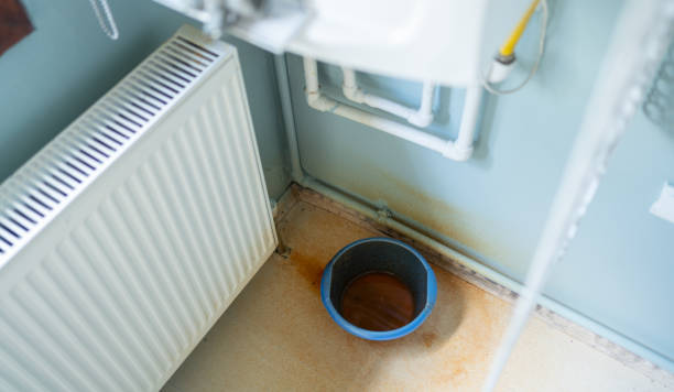 Best Local water damage restoration  in St George, SC